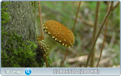 0_fc0a4_362ac71a_orig.png