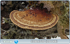 0_fc306_8e6ff7ca_orig.png