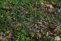 0_e0c6d_571af0c1_orig.png