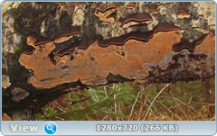 0_fd68c_5687c807_orig.png