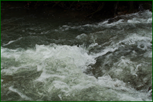 0_e005b_e30233fe_orig.png