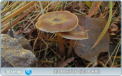 0_fc763_77ce202b_orig.png