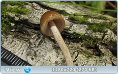 0_f12a5_aa2229a7_orig.png