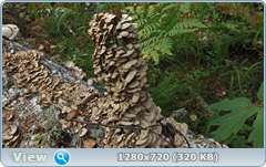 0_fc569_860f75e2_orig.png
