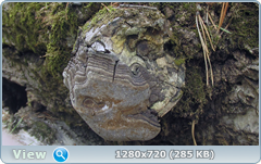0_f4d40_de1be6ce_orig.png