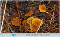 0_f4fd1_ea15311e_orig.png