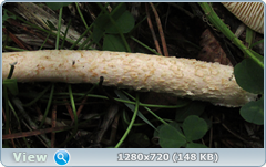 0_fbc25_7f18a617_orig.png