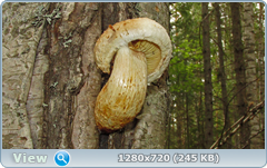 0_fc0ac_b0138522_orig.png