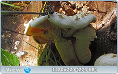 0_fc0b0_b2682def_orig.png