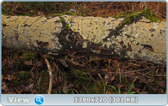 0_fd686_26730882_orig.png