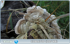0_fc507_1507c690_orig.png