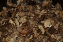 0_e194e_e0266f47_orig.png