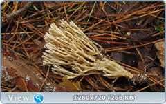 0_fc052_d2ac6a53_orig.png