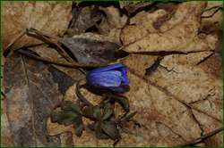 0_e03a2_b18a0b28_orig.png