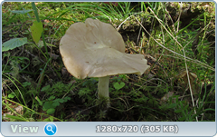 0_fb16f_2ee93a64_orig.png
