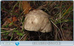 0_fb817_c38c5d1b_orig.png