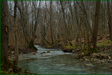 0_e00ab_6d226ee9_orig.png