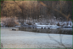 0_11a0d7_c72f056d_orig.png
