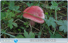 0_fbb4c_dfacf6dd_orig.png