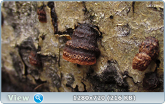 0_fd694_f1688bd1_orig.png