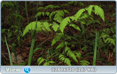 0_fd866_9b04affb_orig.png