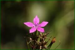 0_ff86c_484d3c55_orig.jpg