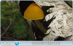 0_12afb0_4ee55f4d_orig.png