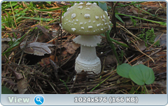 0_12beed_3b510fbb_orig.png