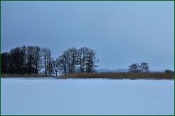 0_155c8c_47df24f3_orig.jpg