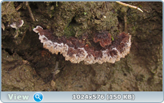 0_12b00a_cf013b54_orig.png