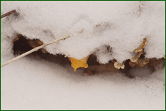 0_1062e4_79c08497_orig.png
