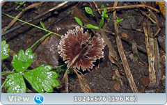 0_12b000_ffba0362_orig.png