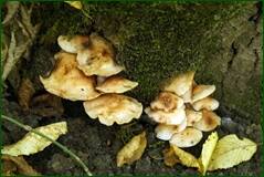 0_100611_113884b1_orig.jpg