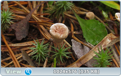 0_12c213_b34a54a7_orig.png