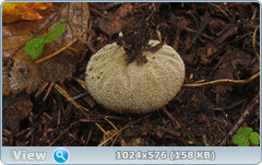 0_12d9ff_18824307_orig.png