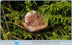 0_12da16_89972090_orig.png