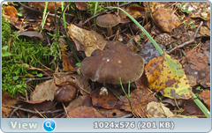 0_12dc88_e6f45420_orig.png