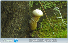 0_12a11b_dfc5bea4_orig.png