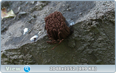 0_12a139_26f9cbf8_orig.png