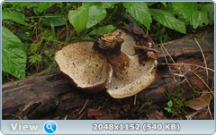 0_12a4fe_10a38089_orig.png