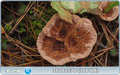 0_12c21f_716f44ec_orig.png
