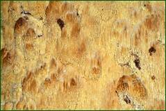 0_100b39_a5527037_orig.jpg