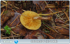 0_12dcaa_f4e9162f_orig.png