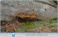 0_12dcc1_d879bbbf_orig.png