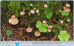 0_12dcd3_c7c1b4d_orig.png