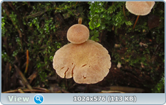 0_12dcd9_a72303e3_orig.png