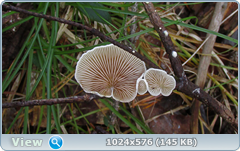 0_12dcf5_7a11bf2b_orig.png