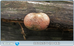 0_12df77_c9749dbf_orig.png