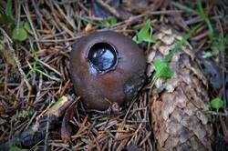 0_15534c_f682404_orig.jpg