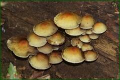 0_100b73_cb218593_orig.jpg
